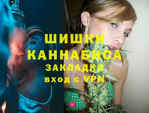 стаф Абинск