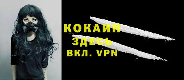 индика Осташков