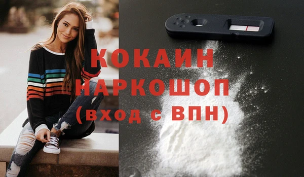 стаф Абинск
