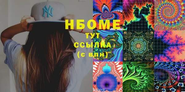 индика Осташков