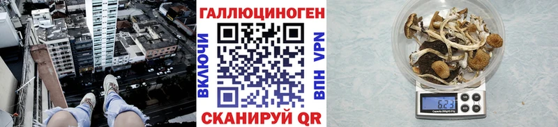 darknet телеграм  Чекалин  Галлюциногенные грибы GOLDEN TEACHER 